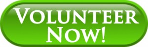 Volunteer Button